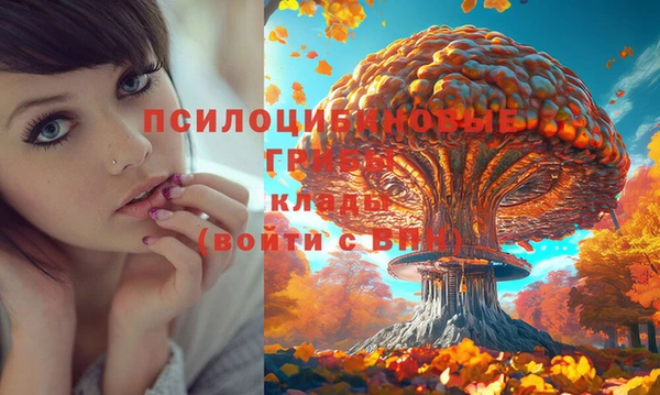 МДМА Абаза