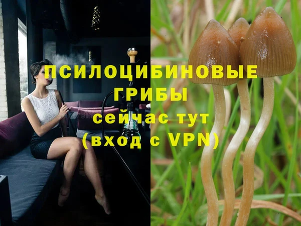 МДМА Абаза