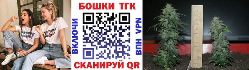 Бошки марихуана Amnesia  наркошоп  Грозный 